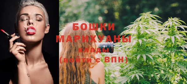 молекула духа Елабуга