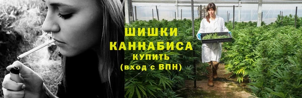 гидра Дмитриев